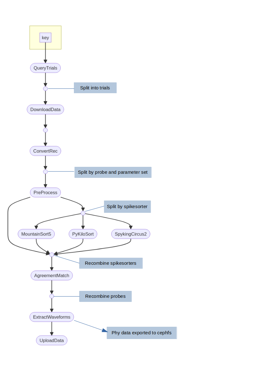 Spikesorting pipeline